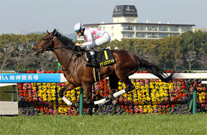 Matenro Gale
