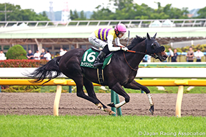 Epsom Cup (G3)