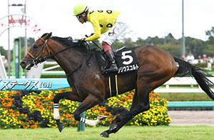 Sirius Colt