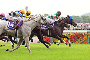 Yasuda Kinen (G1)