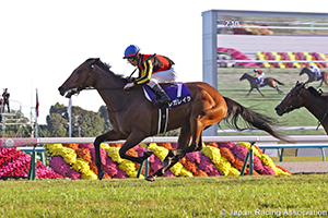 Queen Elizabeth II Cup (G1)