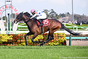 Nikkei Sho (G2)