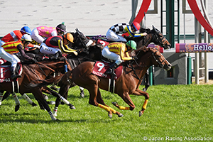 Tokai TV Hai Kinko Sho (G2)