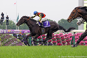 Tenno Sho (Spring) (G1)