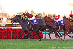 Arima Kinen (The Grand Prix) (G1)