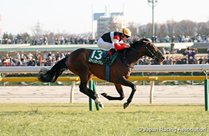Diamond Stakes (G3)