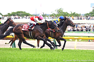 TV Tokyo Hai Aoba Sho (Japanese Derby Trial) (G2)