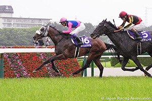 Takarazuka Kinen (G1)