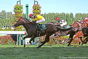 Keeneland Cup (G3)