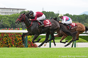 Sankei Sho Centaur Stakes (G2)