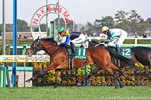 Oka Sho (Japanese 1000 Guineas) (G1)