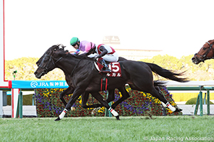 Hanshin Cup (G2)