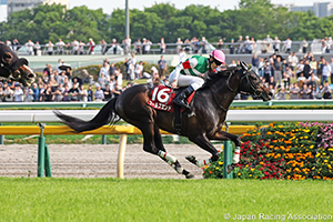Keio Hai Spring Cup (G2)
