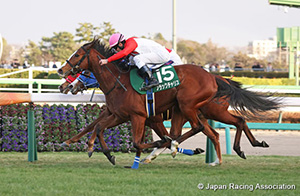 Fairy Stakes (G3)