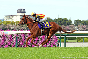 Oka Sho (Japanese 1000 Guineas) (G1)