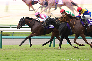 Sprinters Stakes (G1)