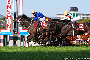 Tulip Sho (Japanese 1000 Guineas Trial) (G2)