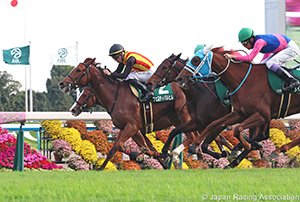 KBS Kyoto Sho Fantasy Stakes (G3)