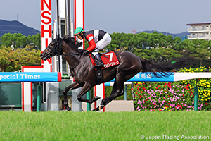 Kansai Telecasting Corp. Sho Rose Stakes (Shuka Sho Trial) (G2)