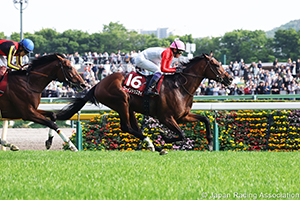TV Tokyo Hai Aoba Sho (Japanese Derby Trial) (G2)