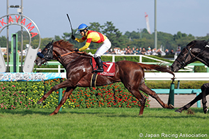 Asahi Hai St. Lite Kinen (Japanese St. Leger Trial) (G2)