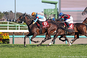 Hochi Hai Yayoi Sho Deep Impact Kinen (Japanese 2000 Guineas Trial) (G2)