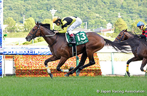 Radio Nikkei Sho (G3)