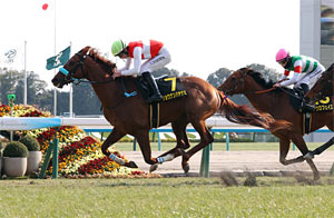 Shonan Hayanami