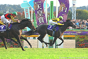 Tenno Sho (Autumn) (G1)