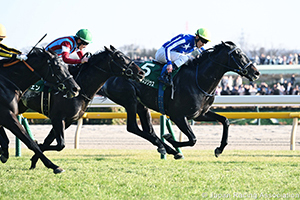 Kyodo News Hai (Tokinominoru Kinen) (G3)