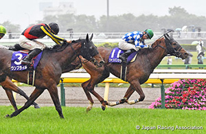 NHK Mile Cup (G1)