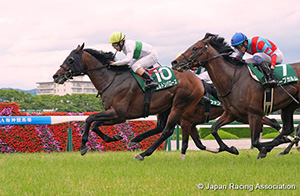 Shirasagi Stakes (G3)