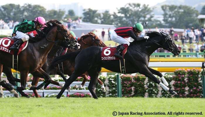 MAINICHI OKAN G2 JRA Graded Races 2014 Horse Racing In Japan