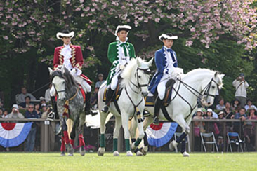 Andalucian Horse Show