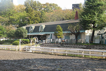 Exterior of the Pony Center