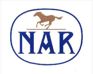 Racing by Local Governments (NAR)