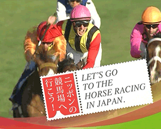 Horse Racing in Japan (Video)