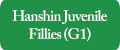 Hanshin Juvenile Fillies (G1)