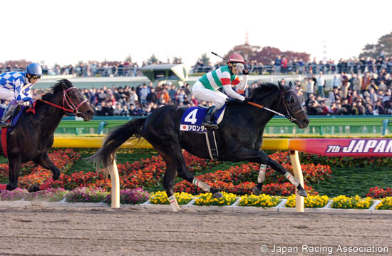 Japan Cup Dirt (International Invitational) (G1)