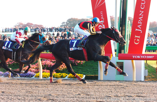 Japan Cup Dirt (International Invitational) (G1)
