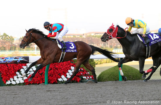 Japan Cup Dirt (International Invitational) (G1)