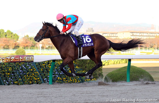Japan Cup Dirt (International Invitational) (G1)