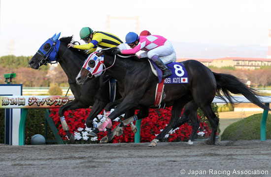 Japan Cup Dirt (International Invitational) (G1)