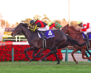 Arima Kinen (The Grand Prix)