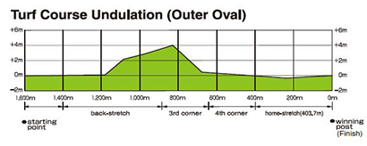 Turf Course Undulation