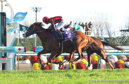 Mile Championship (G1)