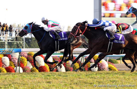 Mile Championship (G1)