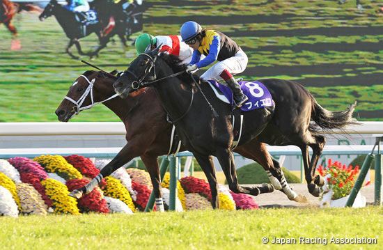 Mile Championship (G1)