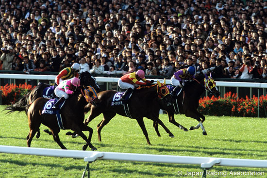 Queen Elizabeth II Cup (G1)