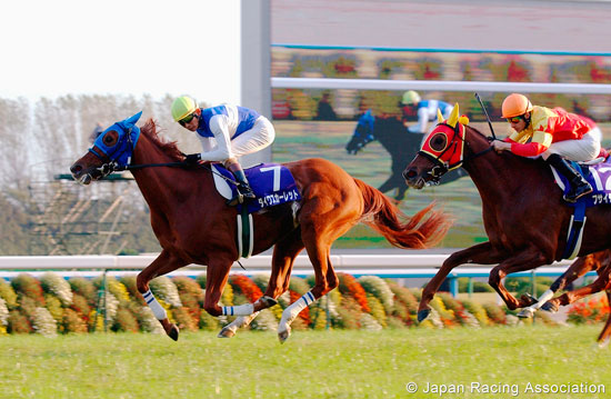 Queen Elizabeth II Cup (G1)